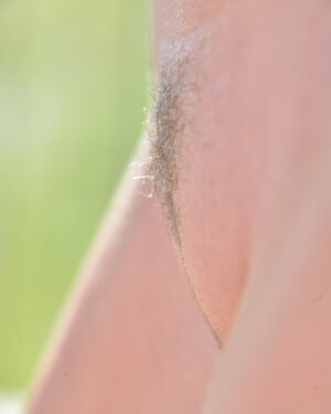 Aveline FTV Frisky Flashing