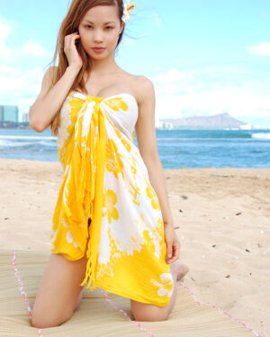 Francine Dee Beach Babe