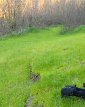 Hayden Ryan Naughty In Nature