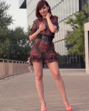 Jeny Smith Sheer Dress