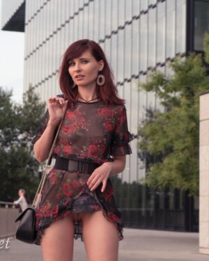 Jeny Smith Sheer Dress