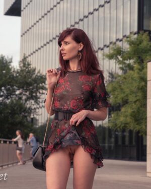 Jeny Smith Sheer Dress