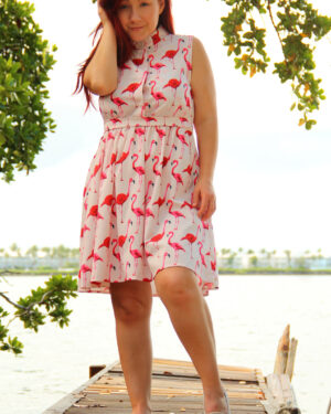Sexy Pattycake Flamingos